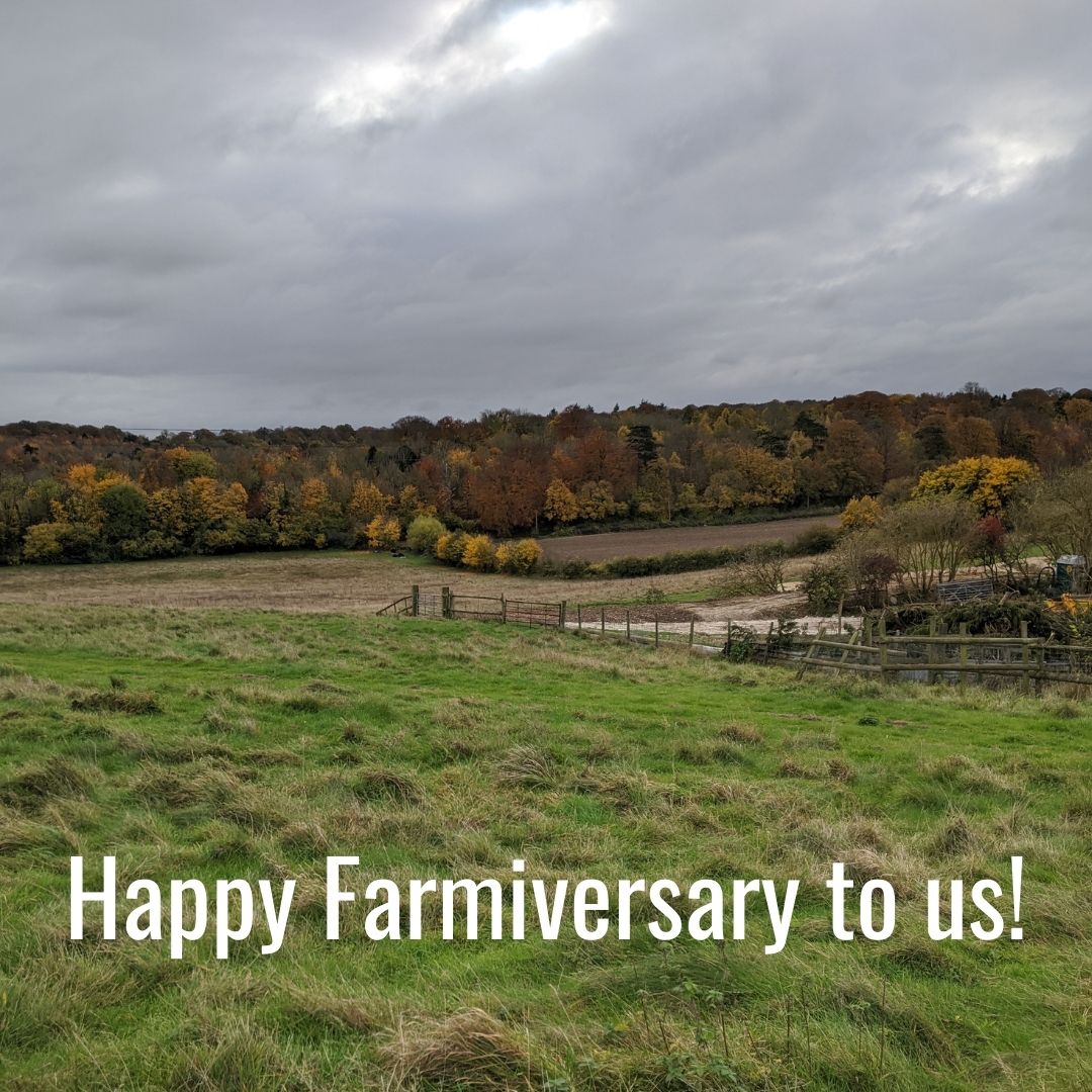 Happy Farmiversary to Elvis & Kresse!